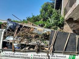 Best Moving and Downsizing Cleanouts  in Plattsmouth, NE